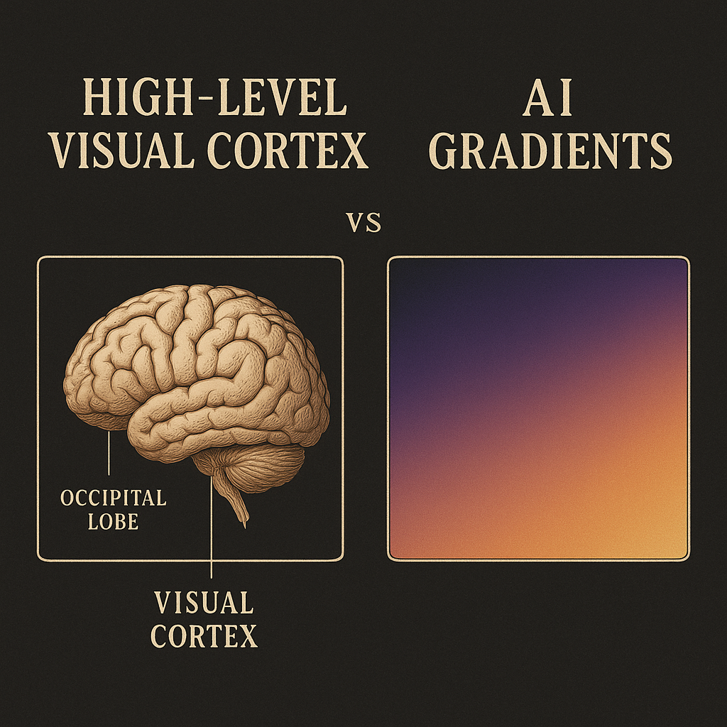 Comparison between high-level visual cortex and AI gradients